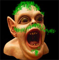 flickr chia pet