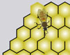 Honeycomb Maze